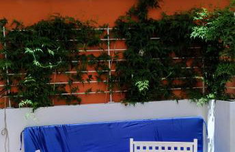 Luna Rossa - Foto 11