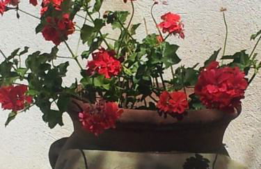 Villa Virginia - Foto 36