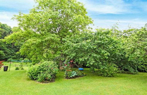 Ferienwohnung Torgelow Am See - Foto 12
