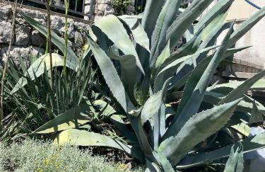 Island home Green Escape Cres - Foto 38