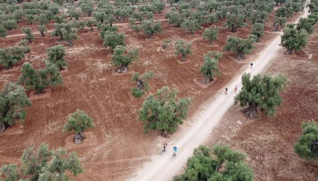 Monopoli Bike Tour - Foto 5