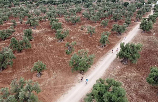 Monopoli Bike Tour - Foto 5