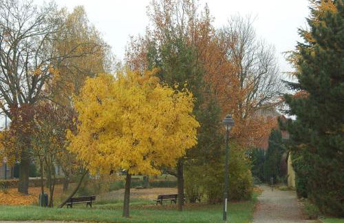 Ferienwohnung Kühl - Foto 20