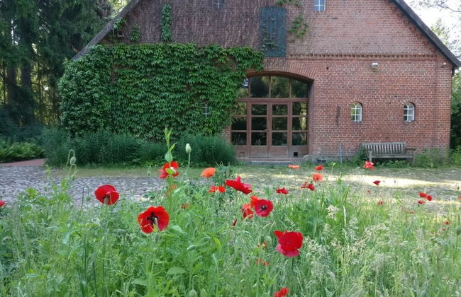 Ahlers Holiday Apartment - Foto 20