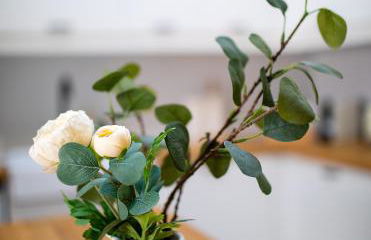 Villa Basilio - Foto 60