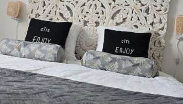 Enjoy en Champagne maison calme au milieu du vignoble avec parking gratuit - Foto 4