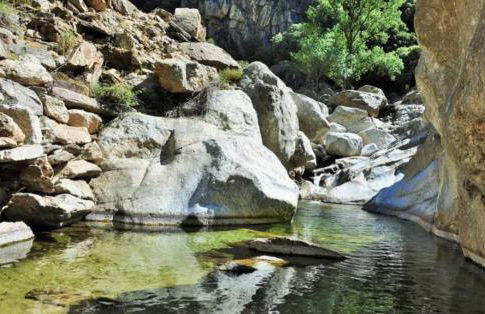 Palmeraie102 - Foto 14