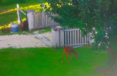 Maison de charme à Brantôme en Périgord avec piscine partagée - Foto 19