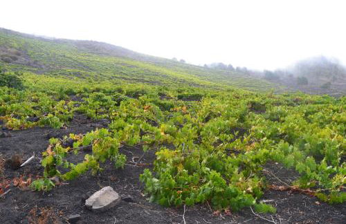 Casa Carolina 2 - Foto 16