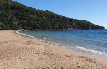 Loutsa Finikounta, 1room Apartment on the beach - Photo 15