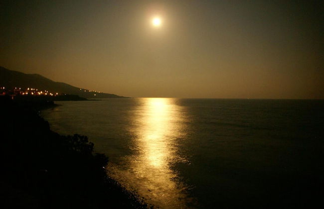 Sun Camero Apartments - Photo 37