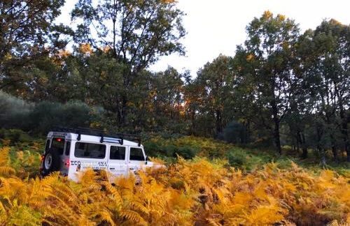 Prado del abuelo - Foto 34