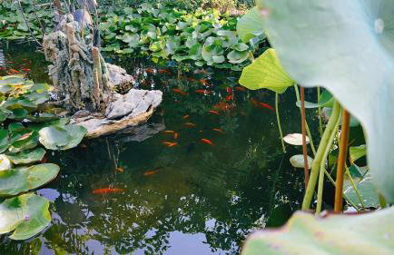 The Artist's Farm - Foto 75