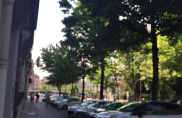 Le Jardin Darcy Liberté Hyper centre gare-ville parking public payant dans la rue - Foto 71