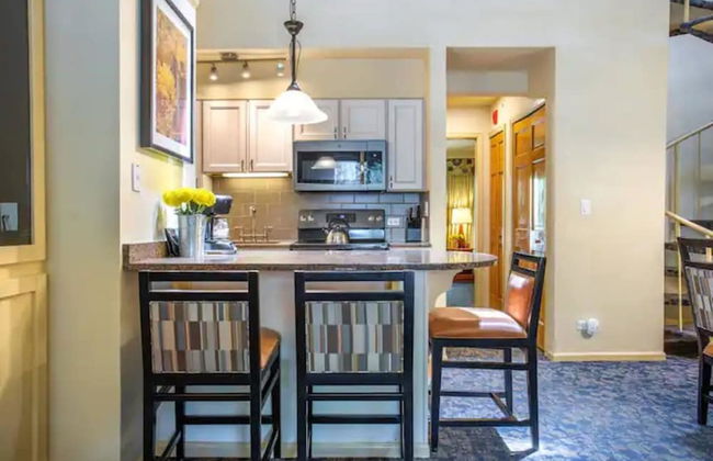 Aspen at Streamside at Vail - Foto 13