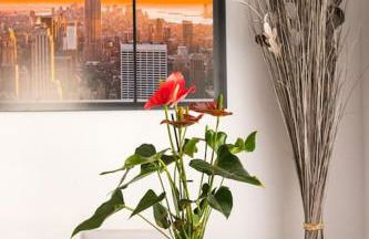 Piso en primera linea de playa del Postiguet - Photo 13