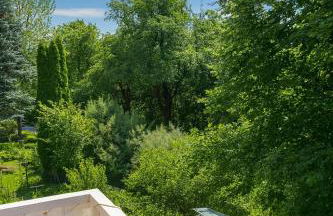 Zum Blauen Seehasel - Foto 13