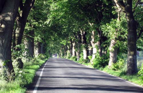 Appartement Meeresrauschen - Foto 43