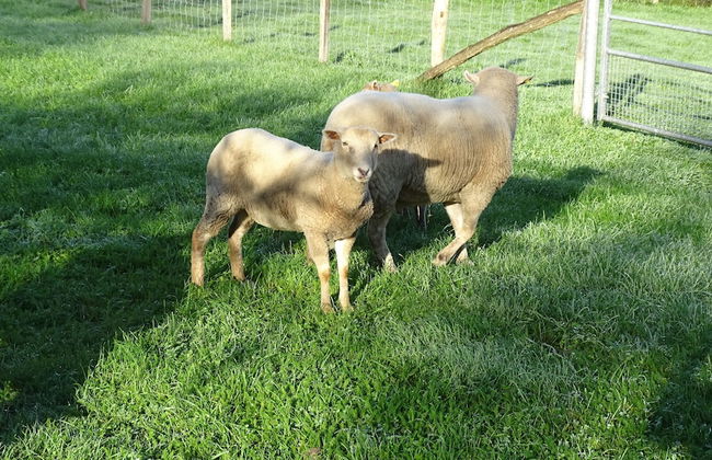 Les Gîtes de Petrocoriis - Foto 71