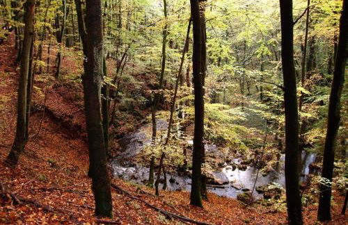 FeWo Sonnenblume mit sauna - Photo 27