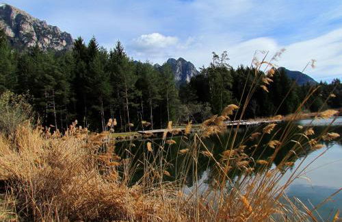 Ferienbauernhof Masunerhof - Foto 26