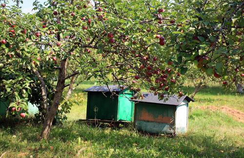 Dom wakacyjny w Kiersztanowie Ładnie Tu - Foto 46