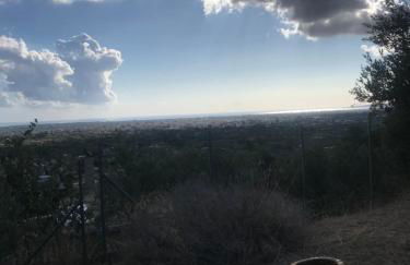 Mountain House near Pyrgos Ilias - Photo 26