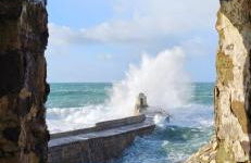 Mermaid Cove - Photo 19