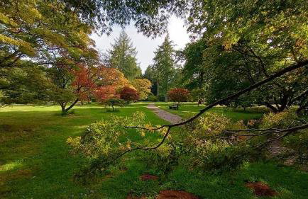 Stunning modern apartment in the Cotswolds sleeps six - Foto 57