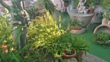 Hotel Casa Paco - Foto 4