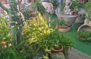 Hotel Casa Paco - Foto 4