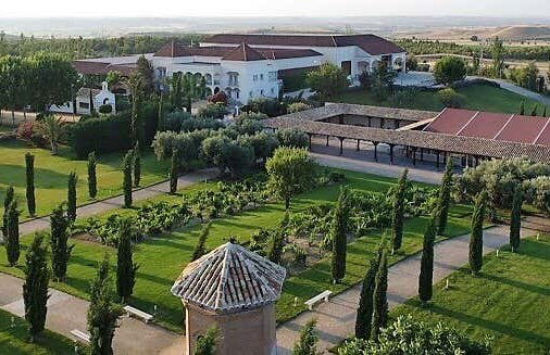 Visite des caves et vignobles de la Casa del Valle - Photo 6