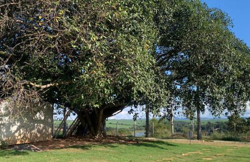 RESERVA FIGUEIRA Casa no lago de Furnas - São José da Barra, MG - Foto 45
