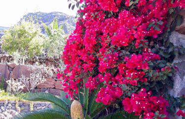 Los Olivos - Foto 27