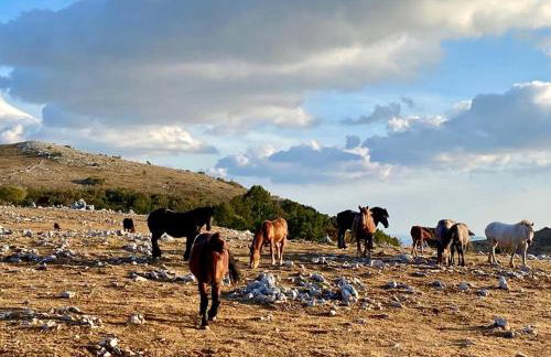 CASA MONTE - Foto 66