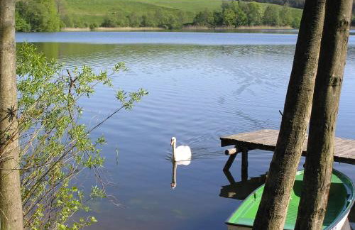 Agroturystyka Lisa Młyn - Foto 11