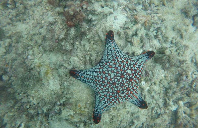 Salango Island Tour - Photo 5