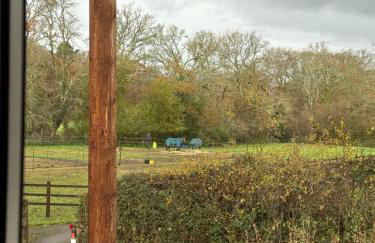 Cosy Forest Cottage Log Fire Ponies Walks - Foto 53