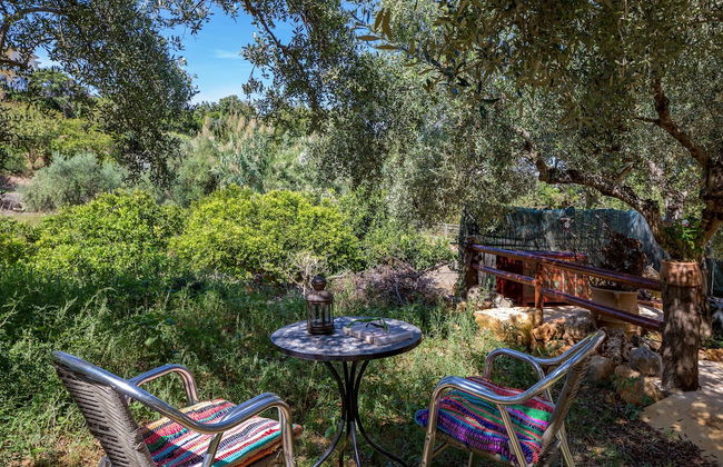 The Olive House - Photo 26