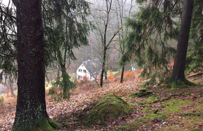 Holiday Home Waldhaus am Burbach - Photo 13