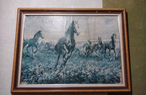 Hospedaria Recanto da Paz - Foto 38