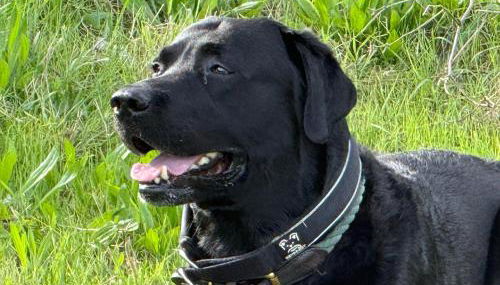 Casa Nonna Rosaria - Foto 2