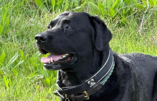 Casa Nonna Rosaria - Foto 2