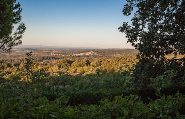 Finca La Sayuela - Foto 60