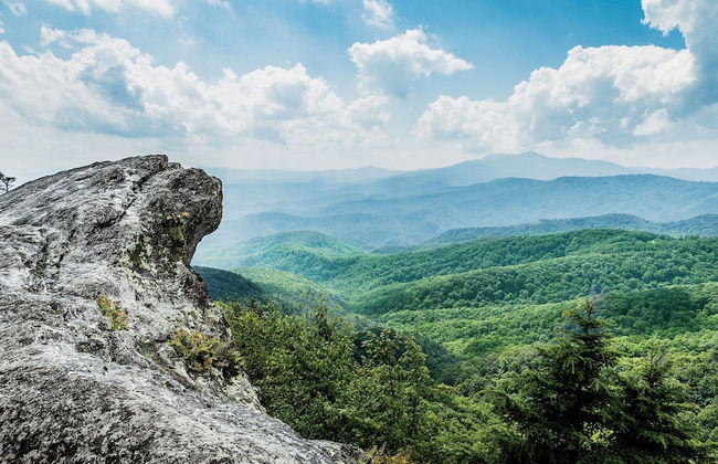 Dogwood at Main & Pine - Foto 12