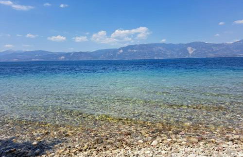 ATHINA-Georgia - Foto 18