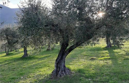 Umbria Valnerina in Noble Residence near Spoleto Apartment x 4-6 persons - Foto 32