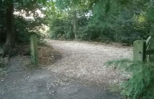 Family friendly sunny Log Cabin - Photo 16