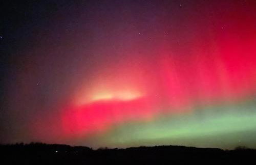 FeWo Renken - Foto 14