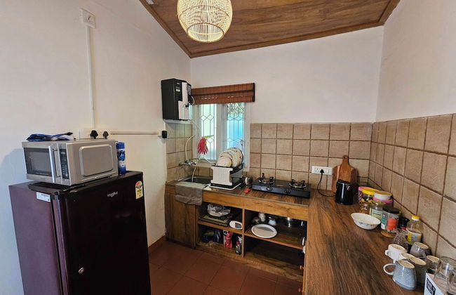 Songs of the Nilgiris - Foto 4